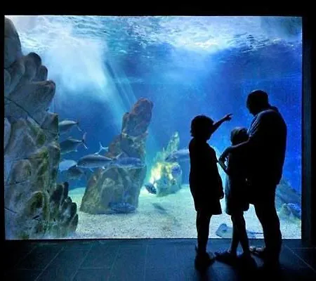 公寓 Stella Maris 卡拉古诺内